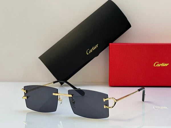 CARTIER - CT0092O - 001 DIAMOND CUT Sunglasses ✨