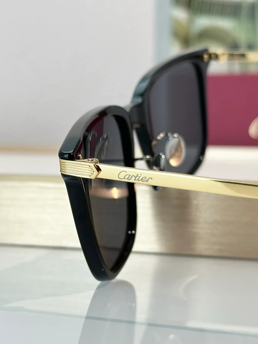 Cartier PREMIÈRE DE CARTIER CT0384 Sunglasses