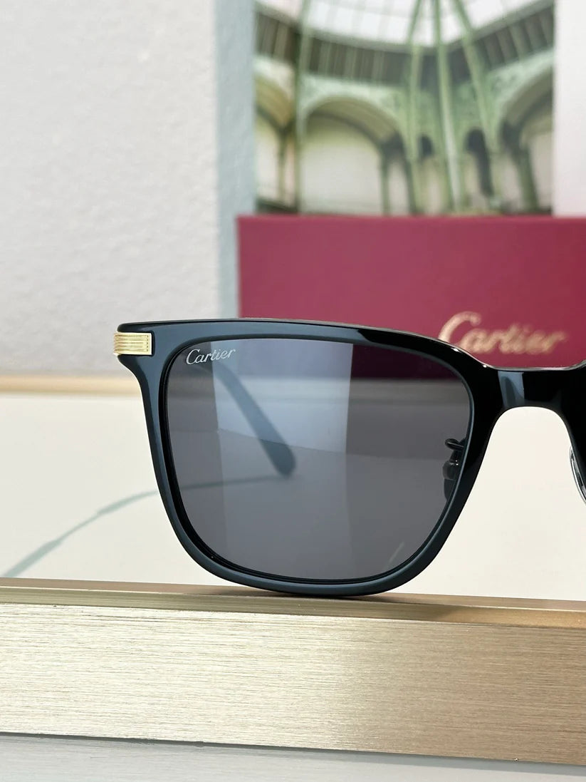 Cartier PREMIÈRE DE CARTIER CT0384 Sunglasses