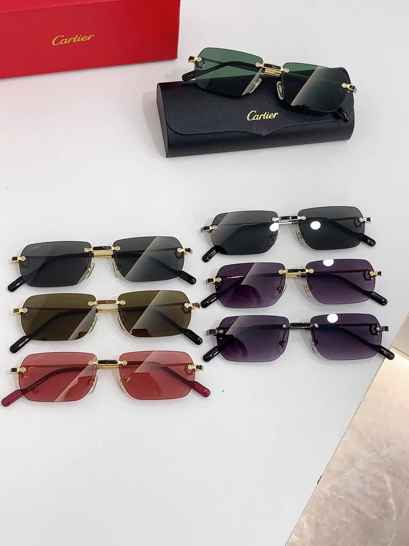 Cartier PREMIÈRE DE CARTIER CT0498S Sunglasses