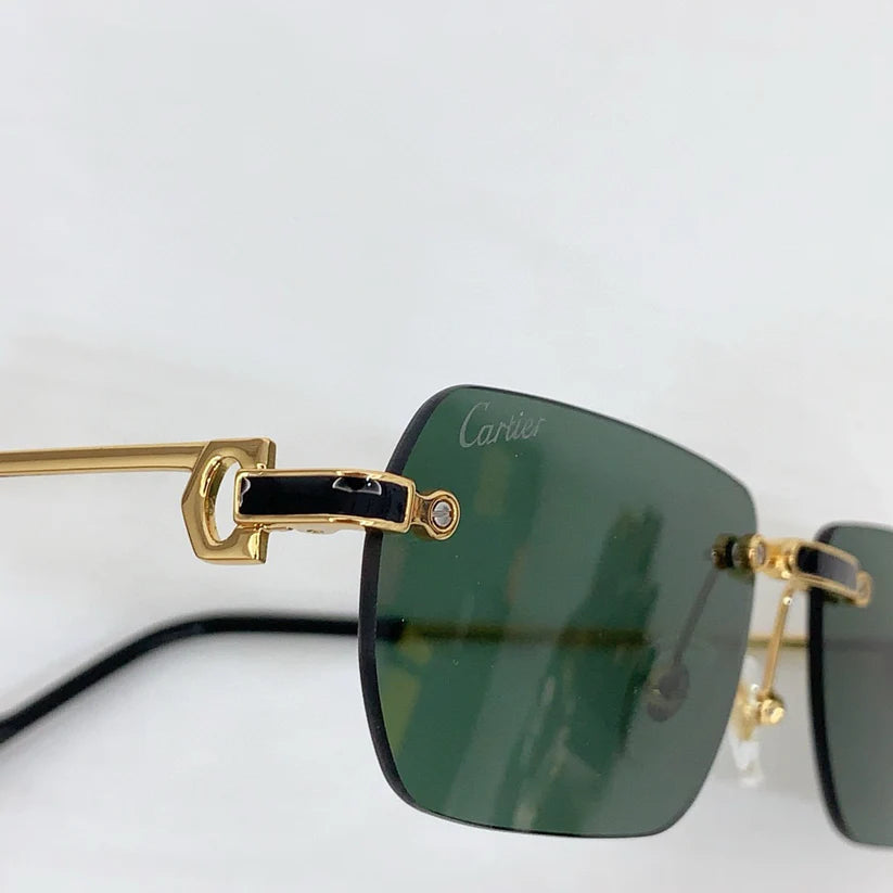 Cartier PREMIÈRE DE CARTIER CT0498S Sunglasses