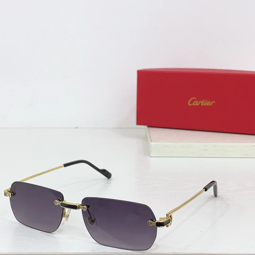 Cartier PREMIÈRE DE CARTIER CT0498S Sunglasses