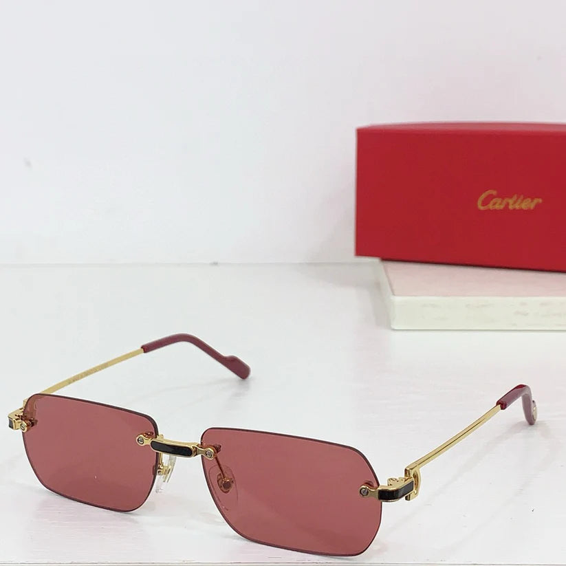 Cartier PREMIÈRE DE CARTIER CT0498S Sunglasses