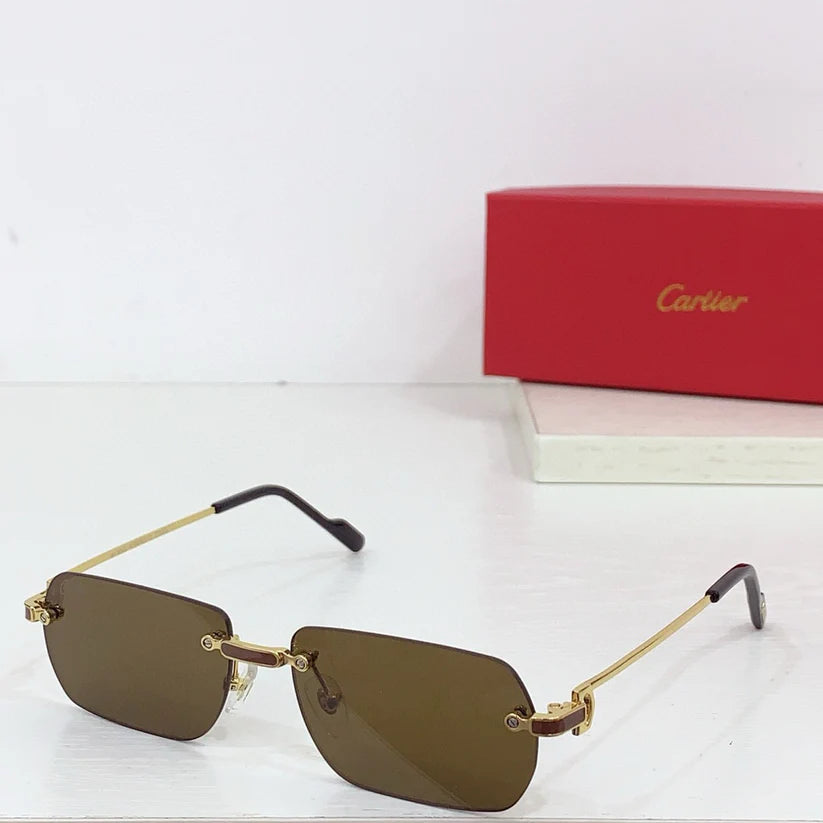 Cartier PREMIÈRE DE CARTIER CT0498S Sunglasses