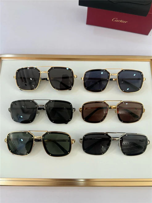 Cartier PREMIÈRE DE CARTIER CT0195S Sunglasses 🐆