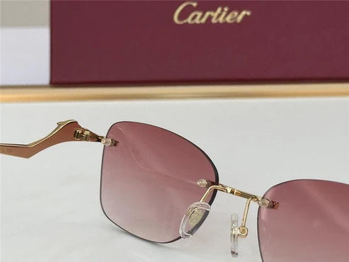 PANTHÈRE DE CARTIER CT 0120 - Platinum-Gold Sunglasses 👑