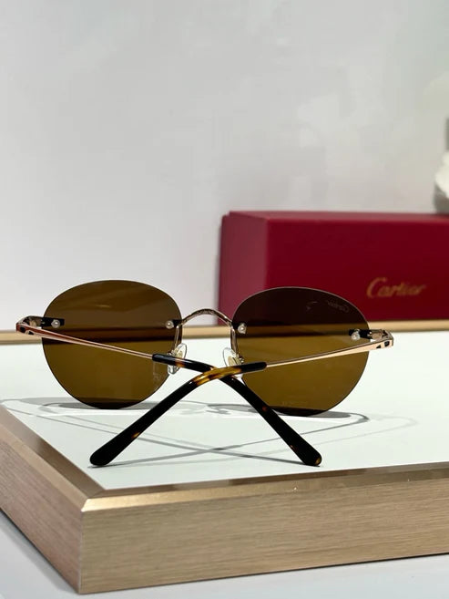 Cartier PREMIÈRE DE CARTIER CT0309O Sunglasses 🐆