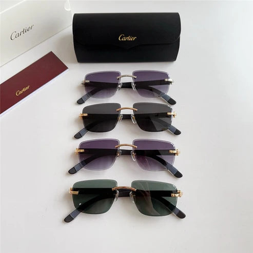 Cartier PREMIÈRE DE CARTIER CT0040RS Sunglasses 🐆 $2300