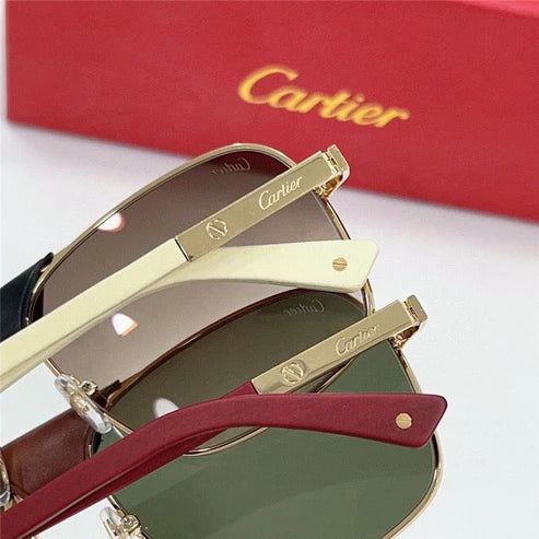 CARTIER SANTOS CT0389S Horn Men's SUNGLASSES 👑