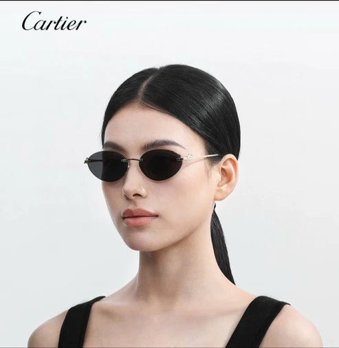 Cartier PREMIÈRE Panthère Classic 58MM Oval Photochromic Sunglasses 🐆