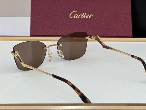 PANTHÈRE DE CARTIER CT 0120 - Platinum-Gold Sunglasses 👑