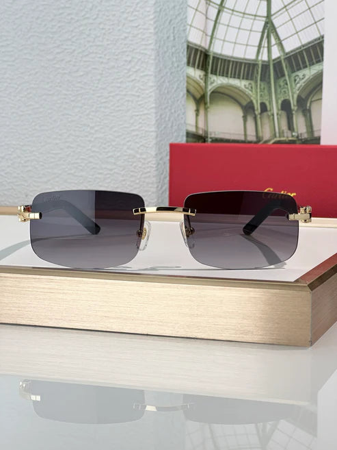 Cartier PREMIÈRE DE CARTIER CT0046S Sunglasses 🐆 $2400