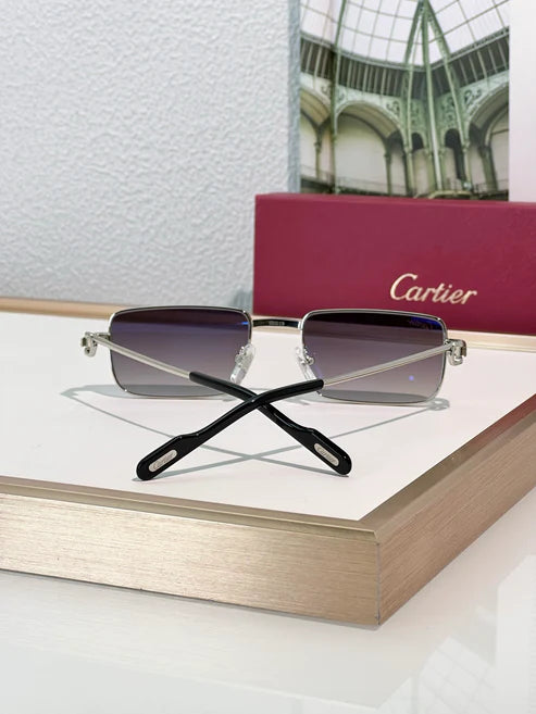 Cartier PREMIÈRE DE CARTIER CT501S Sunglasses 🐆