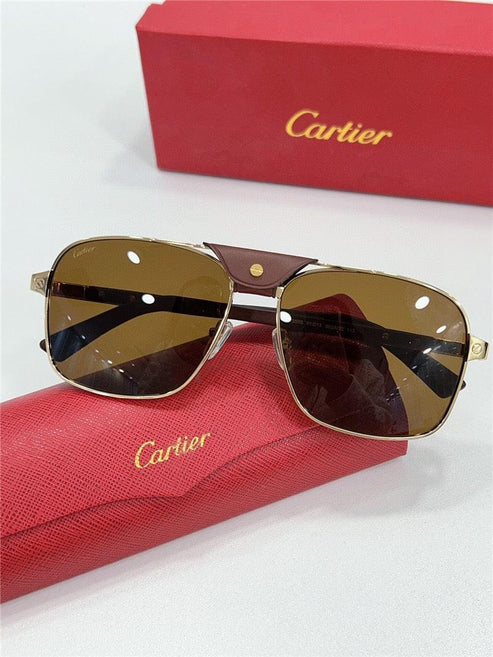 CARTIER SANTOS CT0389S Horn Men's SUNGLASSES 👑