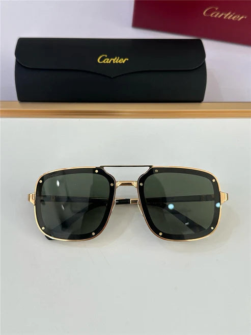 Cartier PREMIÈRE DE CARTIER CT0195S Sunglasses 🐆