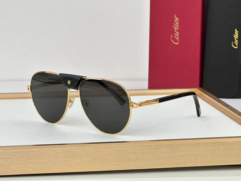 Cartier CT0096S 2024 Men's Sunglasses ✨