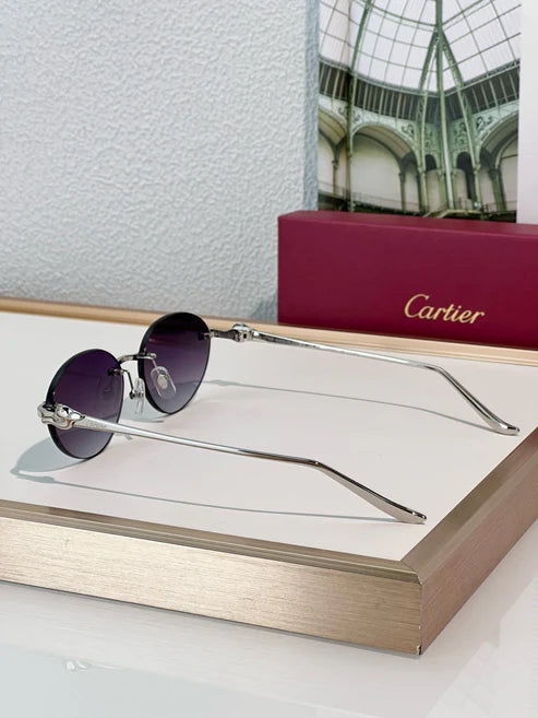 Cartier PREMIÈRE Panthère Classic 58MM Oval Photochromic Sunglasses 🐆