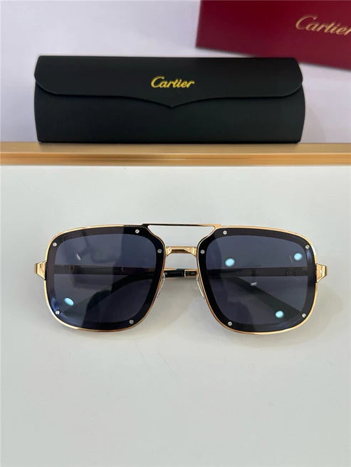 Cartier PREMIÈRE DE CARTIER CT0195S Sunglasses 🐆