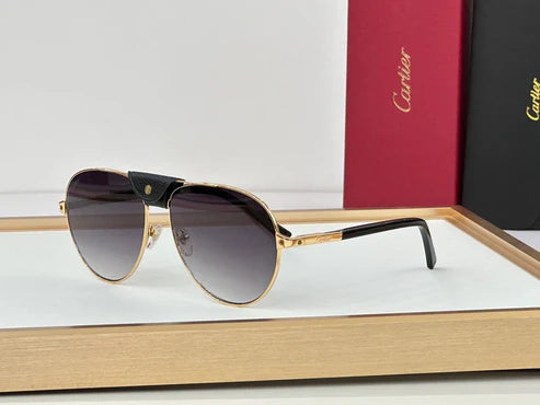 Cartier CT0096S 2024 Men's Sunglasses ✨