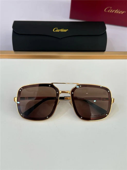 Cartier PREMIÈRE DE CARTIER CT0195S Sunglasses 🐆