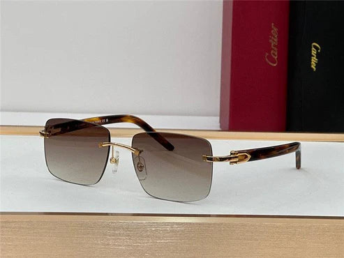 CARTIER Lens Buffalo Horn 60MM-140MM Men's Sunglasses CT 0031RS 001 ✨