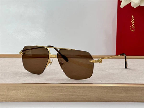 2024 Cartier PREMIÈRE DE CARTIER SUNGLASSES CT 0426S 57mm 🐆