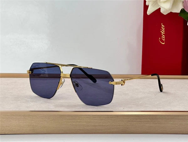 2024 Cartier PREMIÈRE DE CARTIER SUNGLASSES CT 0426S 57mm 🐆