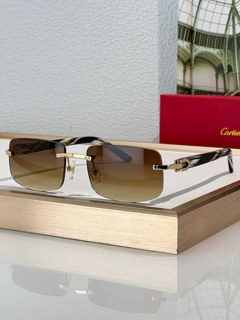 Cartier PREMIÈRE DE CARTIER CT0046S Sunglasses 🐆 $2400