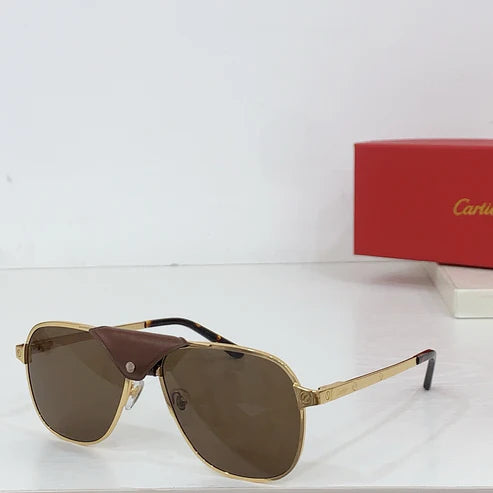 Cartier PREMIÈRE DE CARTIER CT0165S Sunglasses 🐆 $2750