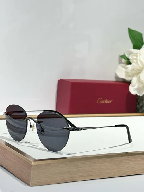 Cartier PREMIÈRE DE CARTIER CT0309O Sunglasses 🐆