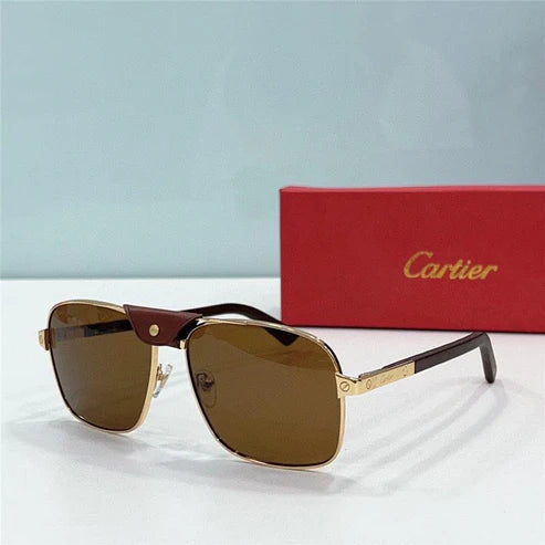 CARTIER SANTOS CT0389S Horn Men's SUNGLASSES 👑