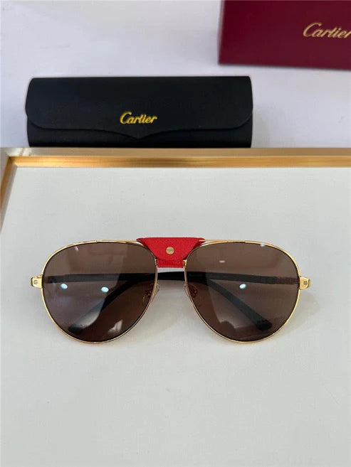 Cartier CT0096S 2024 Men's Sunglasses ✨