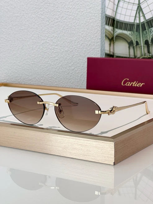 Cartier PREMIÈRE Panthère Classic 58MM Oval Photochromic Sunglasses 🐆